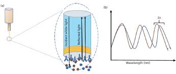 More specifically, methods are disclosed to specifically immobilize biological target molecules onto the surface of interferometry capable biosensors and to associate the target molecules with peroxidase. Biolayer Interferometry As An Alternative To Hplc For Measuring Product Concentration In Fermentation Broth Chromatography Online