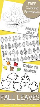 You want to see all of these autumn leaves coloring pages. Fall Leaves And Trees Coloring Printables 1 1 1 1