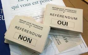 Alegeri europarlamentare și referendum în domeniul justiției. Sondage Une Majorite De Francais Pour Un Referendum Le 26 Mai