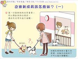 ipet愛寵物 迎接新成員該怎麼做 一 comics character fictional characters