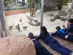 Werribee Open Range Zoo Welcomed Deaf And Hard Of Hearing Students To The Zoo Yesterday To Celebrate Hearing Awareness We Reptile Zoo Zoo Park Zoo Architecture