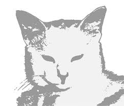 Bekijk onder alle recente kortingscodes en. File User Coolcat Svg Wikipedia