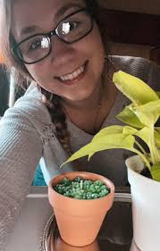 Decorative Item for Succulents and Tillandsia