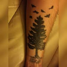 2 people max at a time per appointment. Mountainbike In Tattoos Search In 1 3m Tattoos Now Tattoodo