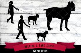 Download Walking A Cane Corso Dog Silhouette Vect Graphic By Thesilhouettequeenshop Creative Fabrica PSD Mockup Templates