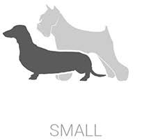 Pet euthanasia at home cost uk. In Home End Of Life Vet Services Prices Cloud 9 Vets