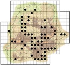 Image result for Psydrax livida