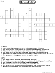 Click on a number in the grid to see the clue or clues for that number. Nervous System Crossword Puzzle Teaching Resources