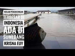 Kolam Pemancingan Terbaik Di Indonesia Best Fishing Pond In Indonesia Youtube
