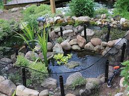 Outdoor Turtle Pond Garden Pond Design Turtle Pond Ponds Backyard