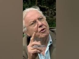 How flowers talk to bees 😯