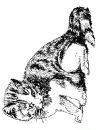 68 kleurplaten van poezen en katten. Kids N Fun 68 Kleurplaten Van Poezen En Katten