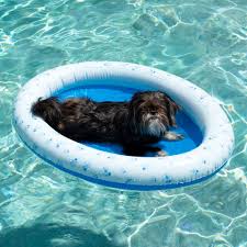 For every summer an inflatable it's a must. Summer Pet Inflatable Float For Adult Dogs Puppies Cat Mystery Dog Floats For Pool Large Light Blue Oxford Cloth Dog Pool Floats For Small Large Dogs Dog Float Inflatable Pool Hats Apparel