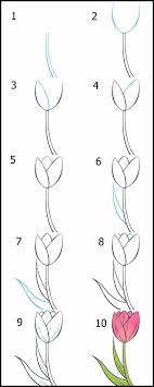 Cara menggambarnya pun dapat dilakukan dengan mudah yaitu menggoreskan pensil secara halus dan tipis. Sketsa Dan Cara Menggambar Bunga Tulip Dengan Pensil