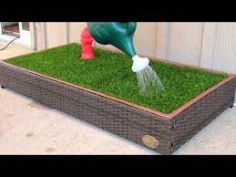 J'aime beaucoup les animaux, je prends plaisir à jouer. 12 Accessoires Pour Chiens Et Chats A Fabriquer Soi Meme Jardin Pour Chien Toilettes Chien Accessoire Chien