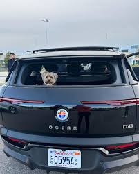 Image result for Benito Blue 2022 Fisker