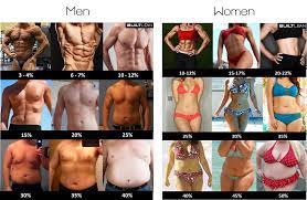 Wondering what your body fat percentage in women should be? How To Interpret Your Body Fat Test Invictus Fitness