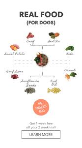 Think Your Dog Deserves A Healthier Diet Check Out Our Personalized Meal Plans Made From The F Healthy Dog Food Recipes Human Grade Dog Food Dog Food Delivery