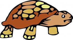 Tecknad Tortoise Clipart Gratis Stock Bild Public Domain Pictures Indien, barn, barndom, clipart, digitalt genererad bild. tecknad tortoise clipart gratis stock