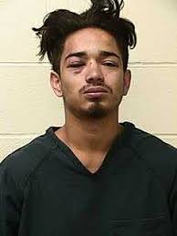 GOODWIN, JAMES WYATT Charges: CRIMINAL TRESPASS This information and more  is available https://apps.myocv.com/share/a95737804