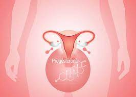 La Progesterona Y Las Hormonas Femeninas Y Alimentos Para Regularlas