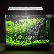 Berikut beberapa contoh model desain dan harga aquarium mini. Led Lampu Aquarium Tanaman Lampu Cocok Tank 3 8 Mm Ketebalan Air Lampu Akuarium Braket Lampu Akuarium Dekorasi Pencahayaan Harga Terbaik Lightings Aliexpress