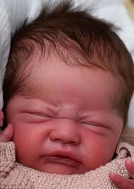 Reborn Dolls and Lifelike Baby Dolls