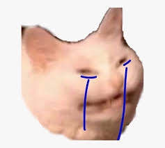 Cat is a small, typically furry, carnivorous mammal. Catto Dank Meme Cat Cry Sad Kitten Hd Png Download Kindpng