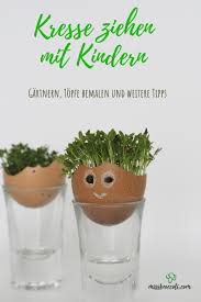 Kresse Sprossen Ziehen Mit Kindern Miss Broccoli In 2020 Rezepte Fur Kinder Kresse Kinder
