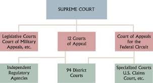 A Flow Chart Of The Organization Of Our Federal Court System