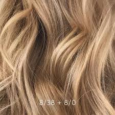 Wella Koleston 9 38 Google Poisk Hair Color Formulas Wella Hair Color Hair Color Techniques
