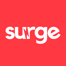 نتیجه جستجوی لغت [surge] در گوگل