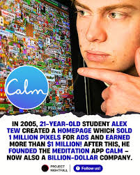 HE BECAME A MILLIONAIRE JUST BY BEING CLEVER! 🤯 Alex Tew launched The  Million Dollar Homepage to pay for college: a single webpage made of one  million pixels, sold for $1 each.