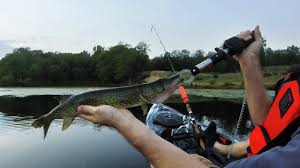 Department of energy and environmental protection. Sunset Bass Fishing At Messerschmidt Pond Westbrook Ct Youtube