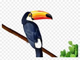 They're great for all ages. Keel Billed Toucan Coloring Page Toucan Drawing Free Transparent Png Clipart Images Download