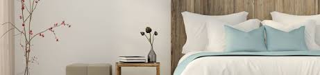 Bed bugs usually bite people at night while they are sleeping. Bed Bug Prevention Nexus Pest Solutions