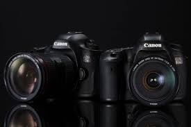 The cameras and lenses i buy will change the direction of my photography. Best Lenses For Canon Eos 5ds 5ds R In 2021 Camera Ears