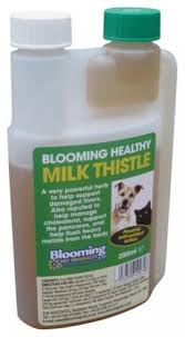 Domestic cats form strong attachments to both the people they live with and the place where they live. Blooming Pets Milk Thistle Liquid Supplement For Liver Support