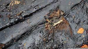 Maybe you would like to learn more about one of these? The Most Polluted Lake In The World Located Near Dzerzhinsk Russia Travel Blog