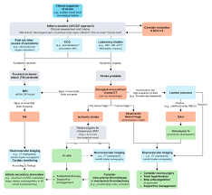 Image result for CVA Management