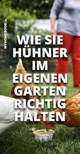 Huhner Im Garten Halten So Geht S Huhner Im Garten Huhnerhaltung Im Garten Hinterhofhuhner