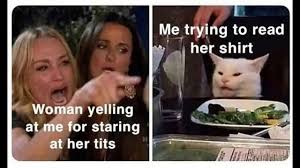 Woman Yelling At Cat The Best Memes For Your Quarantine Film Daily