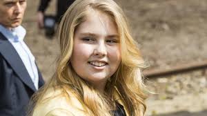 Beste willem, het komt niet vaak voor dat de rijksvoorlichtingsdienst namens leden van het koninklijk huis officieel reageert op. Niederlandische Royals Mobbing Attacke Gegen Prinzessin Amalia In Tv Show