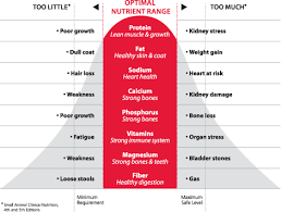 Compare Pet Foods Cat Food Ratings