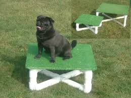 Tiny Dog Agility Home Mini Contact Equipment Mini Pause Table Dog Agility Dog Equipment Diy Dog Stuff