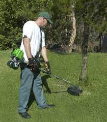 You may probably wonder what these terms mean in overall weed water, or you can say a trimmer. Propane Powered Lawn Trimmer Clean Air Lawn Tech The Red Ferret Journal