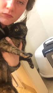 I bet the "A little Physics" she can fix an elevator