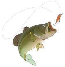 Easy drawing guides > animal , cartoon , easy , fish > how to draw a bass. Drawing Of A Largemouth Bass On Behance