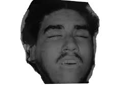 Leonard W. Noyes came to CA by 1850 and stayed in Murphys until 9/1857 with  only short trips to other mining camps. He later wrote a journal of his  time there and