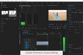 Adobe premiere pro and vegas pro are categorized as video editing. Sony Vegas Vs Adobe Premiere What Software Is Better Freebies